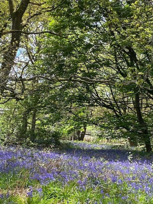 North Cottage Marlfields Hall, Stunning Location Adlington Εξωτερικό φωτογραφία